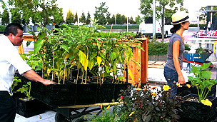 Los riesgos de la cirugía bariátrica