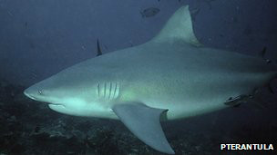 Los riesgos de la cirugía bariátrica