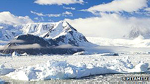 Resuelven el misterio del frondoso musgo antártico