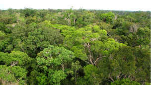 Los riesgos de la cirugía bariátrica