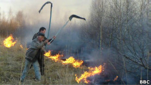 Los bosques radiactivos de Chernobyl, una bomba dormida