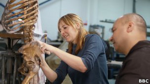 El vino en el embarazo perjudica el coeficiente intelectual del bebé