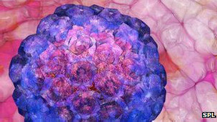 Piden vacunar contra VPH a jóvenes homosexuales