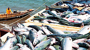 Los riesgos de la cirugía bariátrica