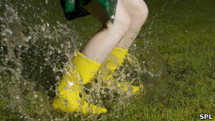 Crean medusa artificial que se mueve con electricidad