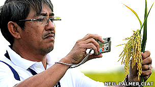 El vino en el embarazo perjudica el coeficiente intelectual del bebé