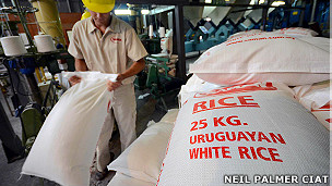 El vino en el embarazo perjudica el coeficiente intelectual del bebé