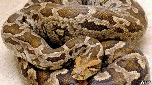 ¿Por qué se nos "duermen" las piernas?