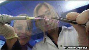 Azúcar para crear órganos sintéticos