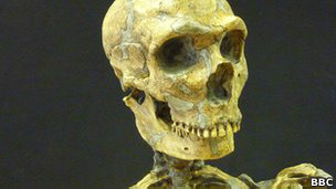 El vino en el embarazo perjudica el coeficiente intelectual del bebé