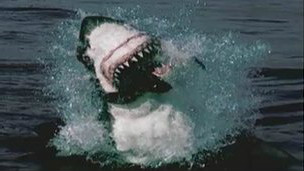 Los riesgos de la cirugía bariátrica