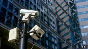 El misterioso susurro del murciélago orejudo