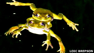 Los riesgos de la cirugía bariátrica