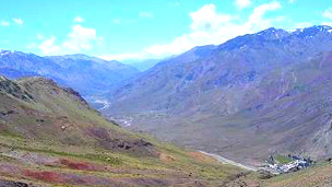 Los pastizales más antiguos habrían existido en Chile