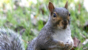 El reto de construir un mapa de los océanos