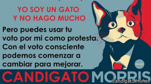 Un gato candidato calienta la campaña en México