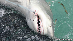 Los riesgos de la cirugía bariátrica