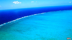 Los riesgos de la cirugía bariátrica