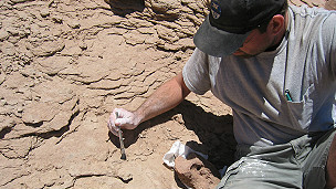 El vino en el embarazo perjudica el coeficiente intelectual del bebé