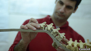 El ancestro argentino del Tiranosaurio Rex