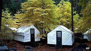 Alerta por el raro y letal hantavirus