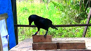 Los riesgos de la cirugía bariátrica