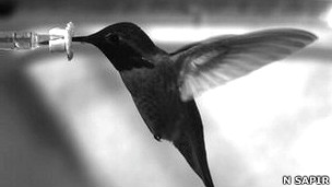 Los riesgos de la cirugía bariátrica