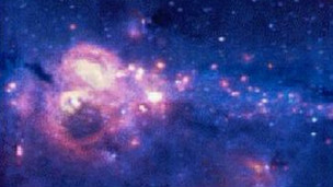 ¿Perciben el tiempo los animales?