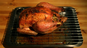 ¿Perciben el tiempo los animales?