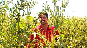 Los riesgos de la cirugía bariátrica