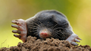 Los riesgos de la cirugía bariátrica
