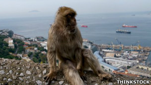 Gibraltar, la primera ciudad Wikipedia