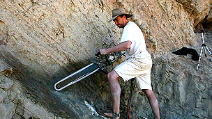 Espectacular hallazgo de tortugas jurásicas