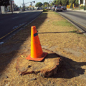 El último paseo del Endeavour enoja a algunos vecinos