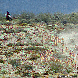 Los riesgos de la cirugía bariátrica