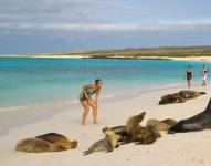 Fenómeno de El Niño: ¿cómo afectaría a las especies endémicas y a los habitantes de Galápagos?