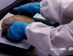 Condenados a olvidar 2