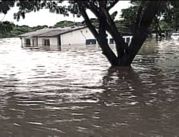 El Temido Niño parte 1