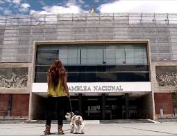 El sueño de LOBA parte 2