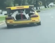 Vaca en cajuela