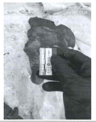 Antropólogo detalló el examen de identificación a los cadáveres de los cuatro menores de Las Malvinas.