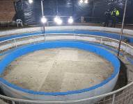 La gallera en el sector de Checa que fue clausurada por la AMC.