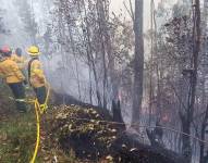 Los bomberos atendieron la emergencia.