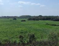 Imagen del humedal Las Garzas, ubicado en el cantón Palenque, Los Ríos.