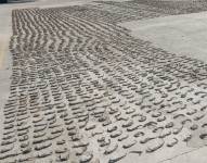 Imagen de 6 300 caballitos de mar disecados hallados en Huaquillas.