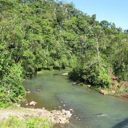Bosque protegido Otoyacu.