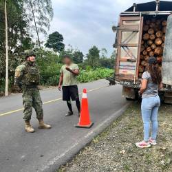 La madera decomida por los soldados de la Brigada de Caballería Blindada del Ejército.