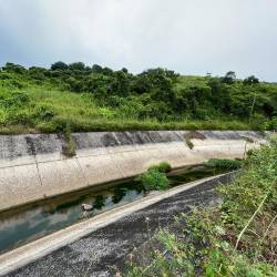 Dos cadáveres apuñalados y dos brazos fueron hallados en el sector de Casas Viejas, en Guayaquil.