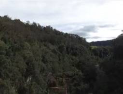 La resurrección del Jambato