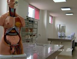 ¿Escuelas o elefantes? 1